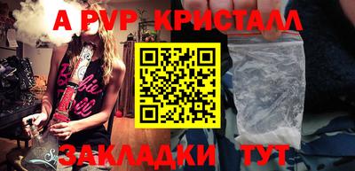a pvp Кингисепп