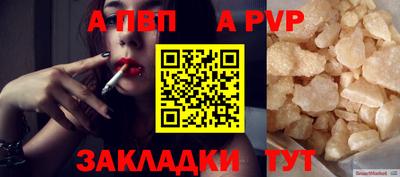 a pvp Кингисепп