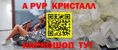 a pvp Кингисепп
