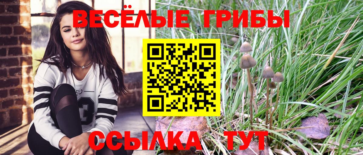 Псилоцибиновые грибы ЛСД  Псилоцибиновые грибы Cubensis  Вход с VPN  Кудрово 